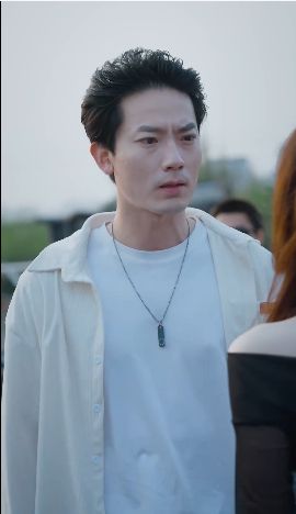 特种上门女婿第1-20集