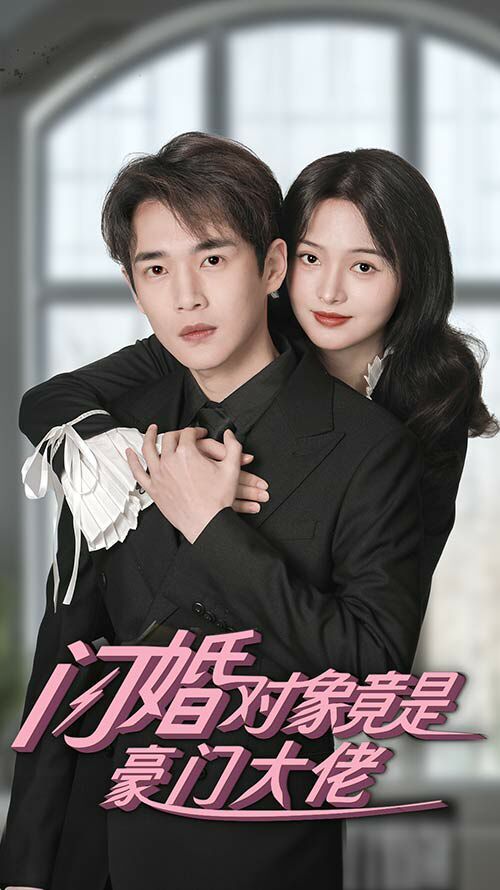 闪婚对象竟是豪门大佬第41-60集