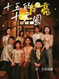 十五的月亮十六圆第1-20集