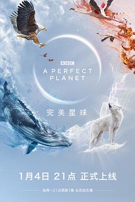 完美星球第01集