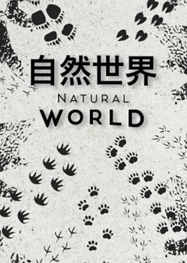 自然世界第一季第01集