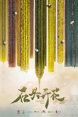 石头开花第03集