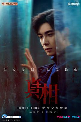 真相第11集