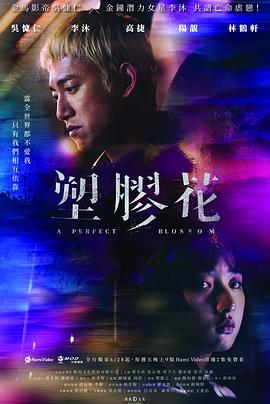 塑胶花第02集