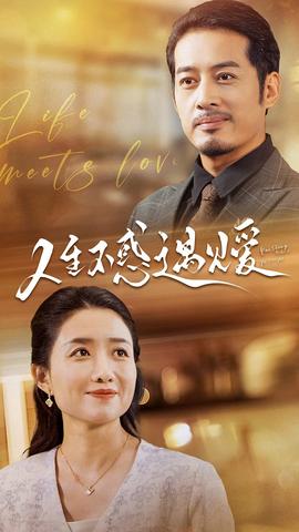 人生不惑遇见爱全集(大结局)